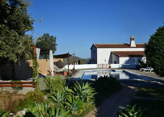 The African House 3*